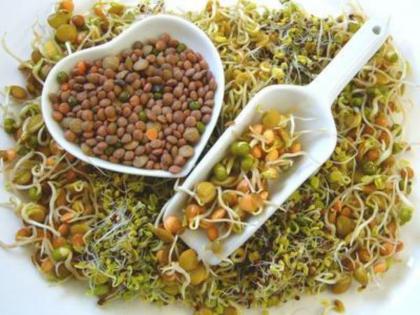 soak and eat sprouts, manuka, chana, almonds it will keep you healthy | 'हे' पदार्थ फक्त भिजवून तर खा! आसपास फिरकणारही नाहीत रोग, राहाल आयुष्यभर निरोगी....