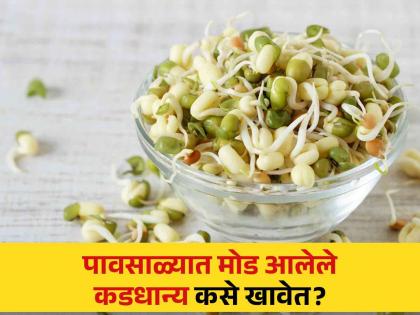 Why eating sprouts is not good in rainy season? Know the right way to eat | पावसाळ्यात मोड आलेले कडधान्य खाऊन पडू शकता आजारी, जाणून घ्या खाण्याची योग्य पद्धत!