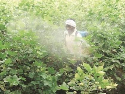 62 people poisoned by spraying; The victim of one! | फवारणीतून ६२ जणांना विषबाधा; एकाचा बळी!