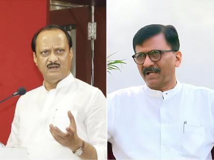 Amol Mitkari targets Sanjay Raut over his criticism of Ajit Pawar | 'गुलाबी सरडा' टीकेवरून अजित पवार गट संतापला; "संजय राऊत हा तर दुतोंडी साप..."