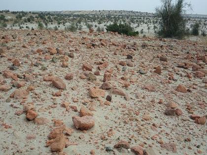 Ancient archaeological site related to the Harappan civilization has been discovered in Ratadia Ri Deri of Jaisalmer district | पाकिस्तानी बॉर्डरजवळ विखुरलेल्या बांगड्यांचं सत्य काय?; भारताने शोधून काढलं दडलेलं रहस्य