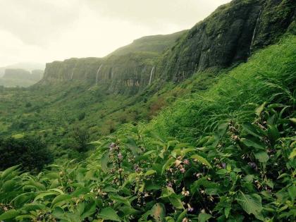 World Forest Day Special! The reserved forest lands of Nashik city and district are under threat day by day | जागतिक वन दिन विशेष! नाशिकच्या राखीव जंगलांना सर्रास लावला जातोय ‘सुरुंग’