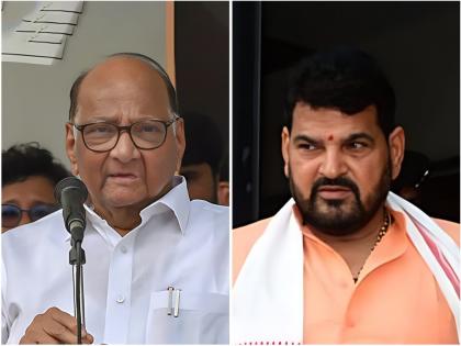 Meeting to be held between Sharad Pawar and MP Brij Bhushan Singh over dispute in Maharashtra Kustigir Parishad | शरद पवार आणि खासदार बृजभूषण सिंह यांच्यात बैठक होणार; काय आहे प्रकरण?