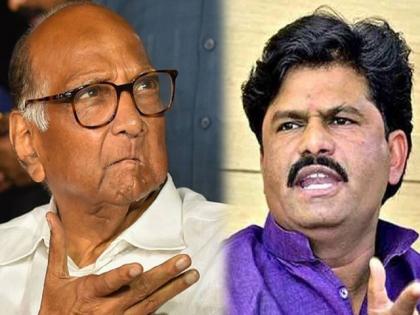 BJP Gopichand Padalkar's attack on NCP Sharad Pawar over Devendra Fadnavis Criticism | गोपीचंद पडळकरांचा शरद पवारांवर घणाघात; “वयाच्या थोरलेपणाची मानाची अपेक्षा ठेवता, अन्...”