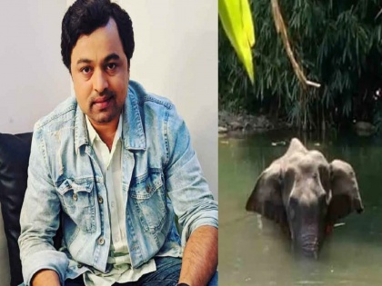Marathi Actor Subodh bhave expresses anger on kerala elephant pineapple incident | गर्भवती हत्तीच्या निधनावर भडकला सुबोध भावे, म्हणतोय माणूस म्हणून घ्यायची लाज वाटायला लागलीय