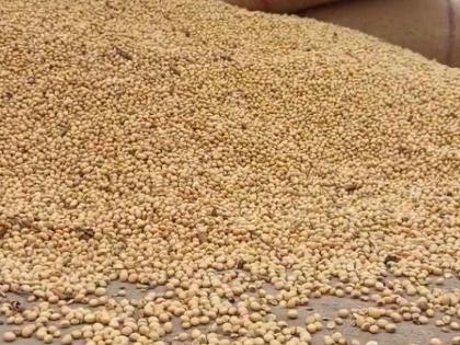 Start government soybean procurement center as soon as possible, farmers demand | शासकीय सोयाबीन खरेदी केंद्र लवकरात लवकर सुरू करा, शेतकऱ्यांची मागणी 