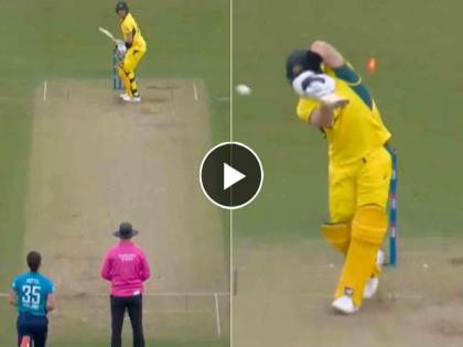 aus vs eng 2nd odi match Steve Smith has just been cleaned up by Matthew Potts, watch here video | ENG vs AUS : WHAT A BALL! स्टीव्ह स्मिथ 'क्लिन बोल्ड', ऑस्ट्रेलियन दिग्गजाचाही विश्वास बसेना