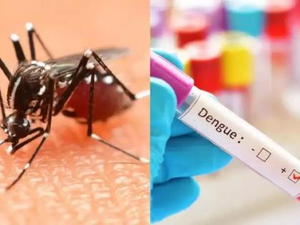 Citizens should take precautions to control dengue, appeals CEO Soumya Sharma |  डेंग्यू नियंत्रणासाठी नागरिकांनी खबरदारी घ्यावी, सीईओ सौम्या शर्मा यांचे आवाहन