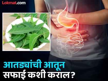 Frequent eating can disturb your digestion and increase constipation, know how to detox stomach | 'या' चुकांमुळे पोटात जमा होतात घातक विषारी तत्व, आतड्यांची सफाई करण्यासाठी करा 'हे' सोपे उपाय!