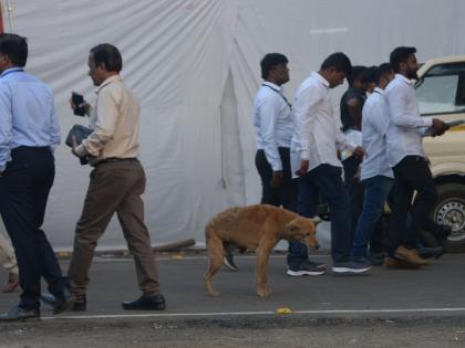 Tight security in Vidhan Bhavan but still stray dogs has all area access | Winter Session Nagpur | विधानभवनात कडेकोट बंदोबस्त, तरी परिसरात मोकाट कुत्र्यांचा ‘मोर्चा’