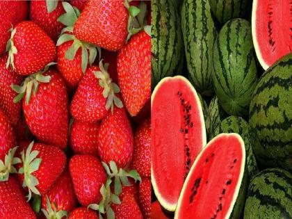 Cultivation of Kalingad and Strawberry in Konkan as well | हापूसच्या कोकणात पिकतात स्ट्रॉबेरी, कलिंगडासोबत केळी, कृषी क्षेत्रात आर्थिक क्रांती  