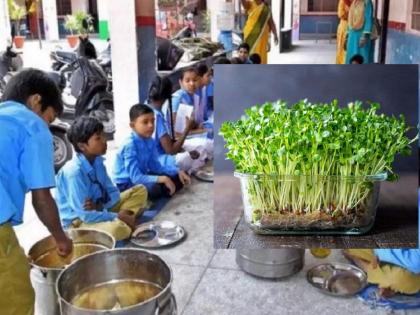 Microgreen vegetables from the backyard will be available in the nutritional diet | पोषण आहारात मिळणार परसबागेतील ‘मायक्रोग्रीन’ भाजी