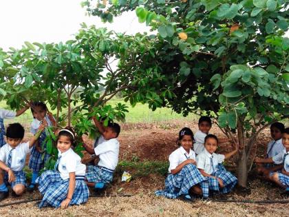 Adopt 300 trees took by students! | विद्यार्थ्यांनी घेतली ३00 झाडे दत्तक!