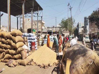 In Hingoli, turi prices rose, but farmers suffered losses | तुरीची टुणूकउडी; तर सोयाबीनची घसरगुंडी; तुरीने गाठला दहा हजारांचा पल्ला