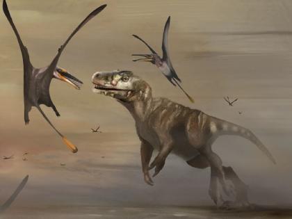 Fossils of flying dinosaurs found; Scotland lived 160 million years ago | उडणाऱ्या डायनासोरचे अवशेष आढळले; स्कॉटलंडमध्ये १६ करोड वर्षांपूर्वी होते वास्तव्य