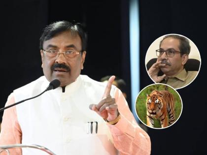 BJP Minister Sudhir Mungantiwar trolls Uddhav Thackeray in comedy way relating to Shivsena and Inured Tiger Maharashtra Political Crisis | Sudhir Mungantiwar trolls Uddhav Thackeray: वाघ ताडोबाचा असो किंवा शिवसेनेचा असो, जखमी असेल तर...; वनमंत्री सुधीर मुनगंटीवारांचा उद्धव ठाकरेंना टोला