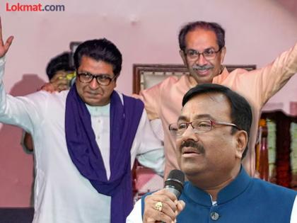 Thackeray brand is not working in the market, people do not like it; BJP Sudhir Mungantiwar Target Raj Thackeray and Uddhav Thackeray | ठाकरे ब्रॅँड बाजारात चालत नाही, जनतेला आवडत नाही; भाजपाचा ठाकरे बंधूंना खोचक टोला