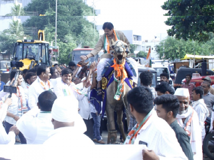 Suspension of Rahul Gandhi's sentence; Congress district president distributed sugar from a camel in Ambajogai | राहुल गांधींच्या शिक्षेला स्थगिती; बीडच्या कॉंग्रेस जिल्हाध्यक्षांनी उंटावरून साखर वाटली