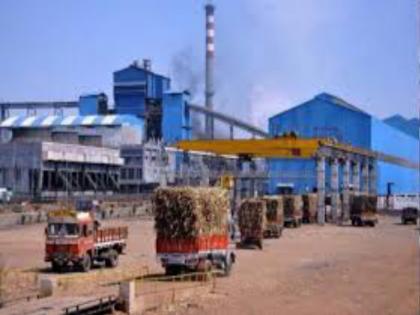 RRC will continue to work on sugar factories: sugar commissioner | साखर कारखान्यांवर आरआरसी कारवाई सुरुच राहणार : साखर आयुक्त 