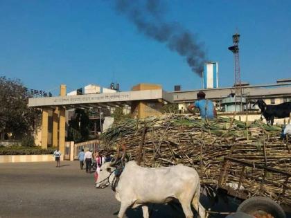 Only 10 sugar mills cleared in accounting in solapur | अवघे १० साखर कारखाने हिशोबात क्लिअर