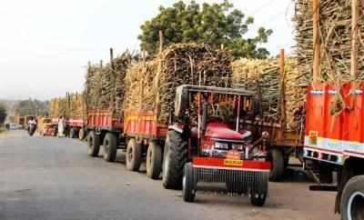 Theft of sugarcane in Akkalkot taluka; The perfume reached the cane in the dark | अक्कलकोट तालुक्यात उसाची चोरी ; अंधारात ऊस पोहोचतोय रसपानगृहावर