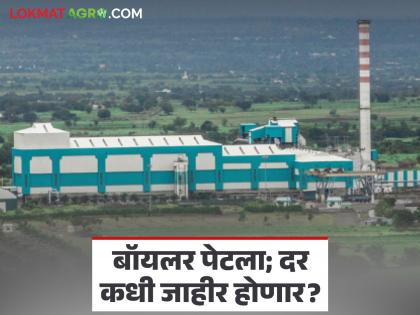 Sugarcane Boiler start, 17 sugar factories to start; When will the factory owner announce the price near the crushing plant? | बॉयलर पेटला, १७ साखर कारखाने सुरू होणार; गाळप जवळ कारखानदार दर कधी जाहीर करणार? Sugarcane Boiler start, 17 sugar factories to start; When will the factory owner announce the price near the crushing plant? | बॉयलर पेटला, १७ साखर कारखाने सुरू होणार; गाळप जवळ कारखानदार दर कधी जाहीर करणार?