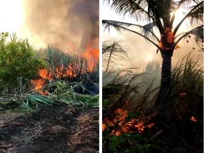 The ashes of the farmer's dreams; Burn 30 acres of sugarcane due to short circuit | शेतकऱ्याच्या स्वप्नांची झाली राख; खरात आडगावात शॉर्टसर्किटमुळे ३० एकरवरील ऊस जळून खाक