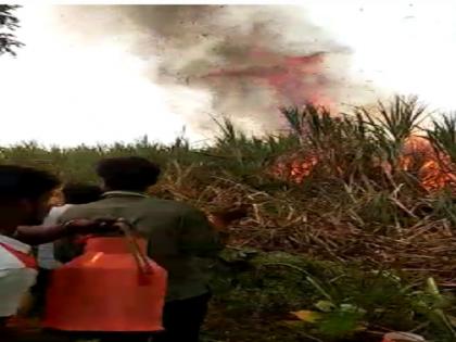 short circuit burns sugarcane crop in Vaijapur | वैजापुरात शॉर्ट सर्किटने दीड एकर ऊस जळाला