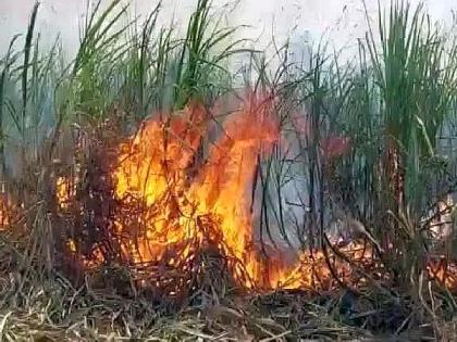 sugarcane of 2 acres burned down in fire, incident in wardha district | वनवा पेटला; दोन एकरांतील उसाचा कोळसा, तीन लाखांचे नुकसान