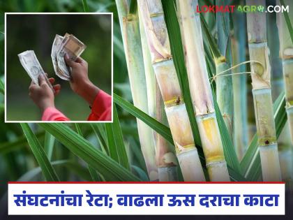 Success in getting Rs 100 including FRP after shetkari sanghatana strike; Farmers benefit from Rs 125 crore | शेतकरी संघटनांच्या रेट्यानंतर एफआरपीसह १०० रुपये घेण्यात यश; शेतकऱ्यांना १२५ कोटींचा फायदा Success in getting Rs 100 including FRP after shetkari sanghatana strike; Farmers benefit from Rs 125 crore | शेतकरी संघटनांच्या रेट्यानंतर एफआरपीसह १०० रुपये घेण्यात यश; शेतकऱ्यांना १२५ कोटींचा फायदा