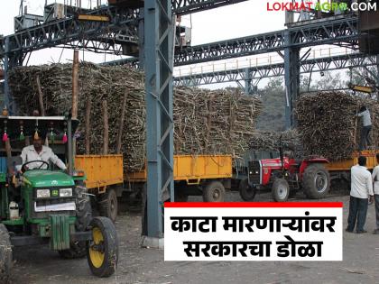 Factories found that are farmers sugarcane weight fraud; action will be taken soon | शेतकऱ्यांच्या उसाचा काटा मारणारे कारखाने शोधून काढले; लवकरच कारवाई करू Factories found that are farmers sugarcane weight fraud; action will be taken soon | शेतकऱ्यांच्या उसाचा काटा मारणारे कारखाने शोधून काढले; लवकरच कारवाई करू