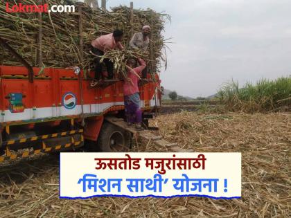 After 'Ayurmangalam', 'Mission Saathi' scheme for sugarcane workers in Beed! | बीडमधील ऊसतोड मजुरांसाठी ‘आयुर्मंगलम’नंतर ‘मिशन साथी’ योजना! After 'Ayurmangalam', 'Mission Saathi' scheme for sugarcane workers in Beed! | बीडमधील ऊसतोड मजुरांसाठी ‘आयुर्मंगलम’नंतर ‘मिशन साथी’ योजना!