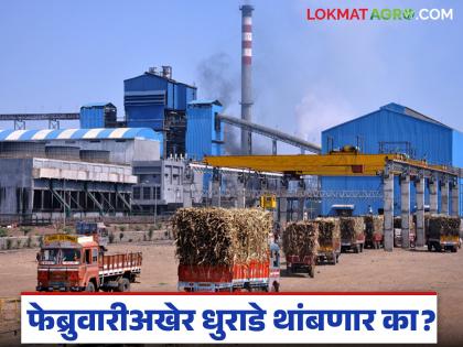 latest news Sugarcane Crushing: Crushing in the final stages in Vasmat; Which factory crushed how much? | Sugarcane Crushing : वसमतमध्ये गाळप अंतिम टप्प्यात; कोणत्या कारखान्याने किती गाळप केले? latest news Sugarcane Crushing: Crushing in the final stages in Vasmat; Which factory crushed how much? | Sugarcane Crushing : वसमतमध्ये गाळप अंतिम टप्प्यात; कोणत्या कारखान्याने किती गाळप केले?