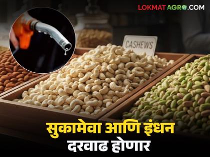 Latest News The US-Iran war will also affect dried fruit and fuel prices see details | अमेरिका-इराण युद्धामुळे सुकामेवा व इंधन दरवाढीचे सावट, या वस्तूंवरही परिणाम होईल! Latest News The US-Iran war will also affect dried fruit and fuel prices see details | अमेरिका-इराण युद्धामुळे सुकामेवा व इंधन दरवाढीचे सावट, या वस्तूंवरही परिणाम होईल!