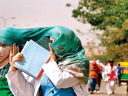 heat wave in pune district chance of rain in two days | पुणे जिल्ह्यात उष्णतेची लाट; दोन दिवसात पावसाची शक्यता