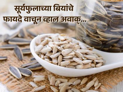 Eat sunflower seeds to reduce cholesterol, read the benefits of its | कॉलेस्ट्रोल कमी करण्यासाठी खा सूर्यफुलाच्या बीया, फायदे वाचून व्हाल अवाक्...