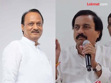 What exactly did sunil Tatkare say after Ajit Pawar confessed about the mistake in baramati lok sabha election | "दादा इज ग्रेट"; अजित पवारांनी चुकीबाबत कबुली दिल्यानंतर तटकरे नक्की काय म्हणाले? 