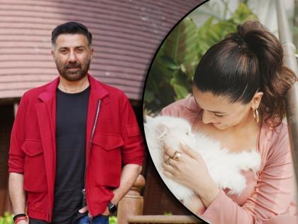 gadar 2 fame sunny deol wanted to work with bollywood actress alia bhatt said she is my favourite | ३५ वर्षांनी लहान असलेल्या 'या' अभिनेत्रीबरोबर सनी देओलला करायचं आहे काम, म्हणाला, "हिरो हिरोईनसारखी..."