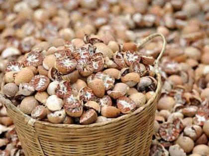 Betel nuts in the dumping yard in the throats of innocents | डम्पिंग यार्डमधील सुपारी जातेय निरपराधांच्या घशात