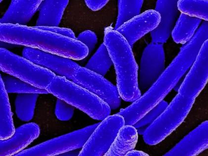 Out of hundred One percent of patients in Nagpur are at risk of super bugs | नागपुरातील शेकडा एक टक्के रुग्ण सुपर बग्सच्या धोक्यात