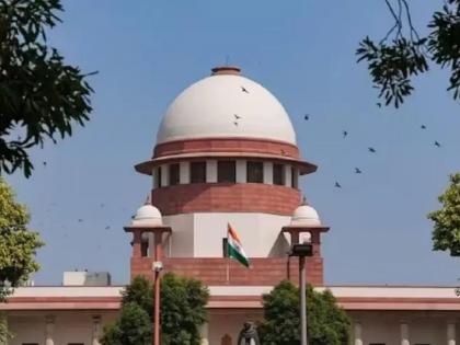 Supreme Court decision will save the homes and farms of 50,000 families on bushland lands | सर्वोच्च न्यायालयाच्या निर्णयाने झुडपी जंगलांच्या जागेवरील ५० हजार कुटुंबांचे घर-शेती वाचणार Supreme Court decision will save the homes and farms of 50,000 families on bushland lands | सर्वोच्च न्यायालयाच्या निर्णयाने झुडपी जंगलांच्या जागेवरील ५० हजार कुटुंबांचे घर-शेती वाचणार