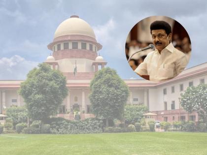 Supreme Court stops Tamil Nadu Government from installing Karunanidhi statue  | सार्वजनिक निधीचा वापर नेत्यांच्या पुतळ्यांसाठी करता येणार नाही- सर्वोच्च न्यायालय