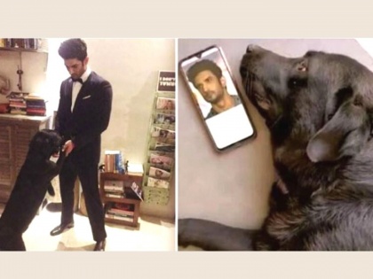 Sushant Singh Rajput's new video of Dog Faj has come out, you will see the video, you will be emotional | सुशांत सिंग राजपूतच्या डॉग फजचा नवीन व्हिडीओ आला समोर, व्हिडीओ पाहून व्हाल इमोशनल