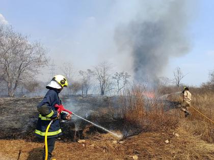 Fire in Biodiversity Park area; The fire brigade arrived at the scene | बायोडायव्हर्सिटी पार्क परिसरात आग; घटनास्थळी अग्निशमन दलाचे बंब दाखल