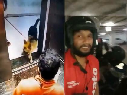 Terrible video! Dog bites Zomato delivery boy's private part; Incident in Panvel indiabulls Building Video Viral on Social media | Zomato Dog Bite: भयानक Video ! श्वानाने झोमॅटोच्या डिलिव्हरी बॉयचा प्रायव्हेट पार्ट चावला; पनवेलमधील घटना