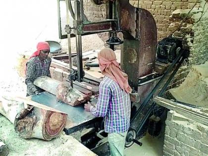 28 Saw Mill in Nagpur unsafe; Five seal orders | नागपुरातील २८ सॉ मिल असुरक्षित; पाचला सील ठोकण्याचे आदेश