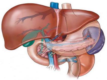 Successful pancreatic cancer surgery, fifteen-year-old girl gets life | स्वादुपिंड संबंधीत कर्करोगाची यशस्वी शस्त्रक्रिया, पंधरा वर्षीय मुलीला मिळाले जीवदान