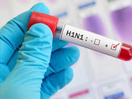 One more child infected with swine flu in Miraj Sangli, 11 people report negative | Sangli: मिरजेत आणखी एका बालकाला स्वाइन फ्लू, अकरा जणांचे अहवाल निगेटिव्ह