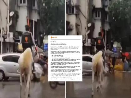 Viral Swiggy Boy: Swiggy delivery boy delivering packet on Horse in heavy rain | Viral Swiggy Boy: मुसळधार पावसात घोड्यावरुन डिलिव्हरी; स्विगीचा 'तो' डिलिव्हरी बॉय चर्चेत