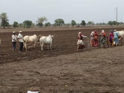 Lowest sowing in Akola district in West Vidarbha! | पश्चिम विदर्भात अकोला जिल्ह्यामध्ये सर्वांत कमी पेरणी!